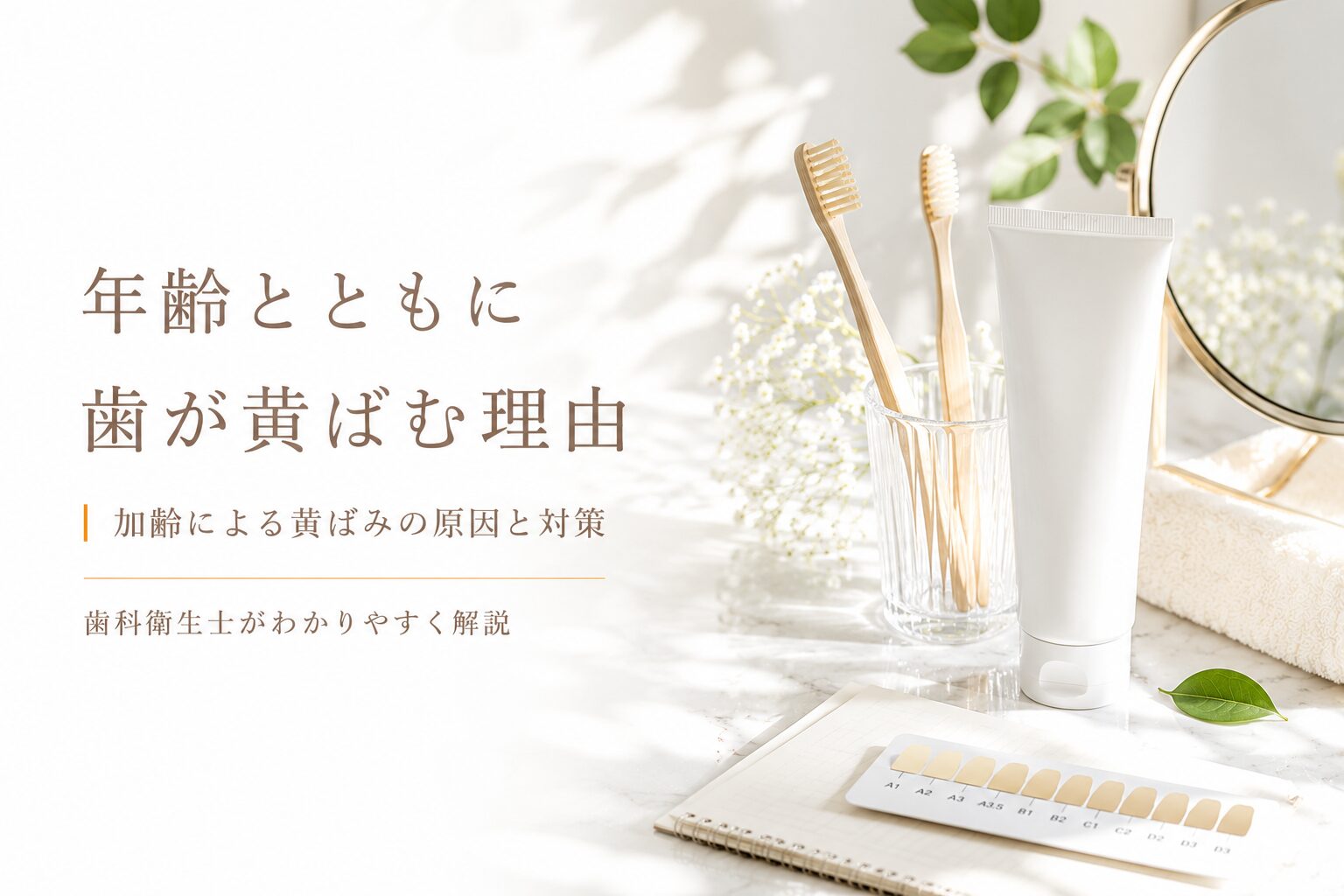 年齢とともに歯が黄ばむのはなぜ?｜加齢による黄ばみの原因と年代別対策